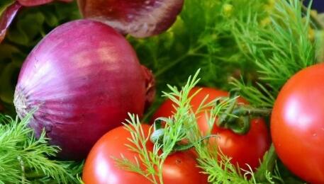 肥料養(yǎng)分檢測儀 肥料養(yǎng)分檢測儀