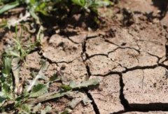 肥料養(yǎng)分檢測儀是如何“保生態(tài)”的？