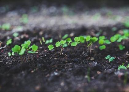 土壤污染嚴重化肥農(nóng)藥要負責任 土壤污染嚴重化肥農(nóng)藥要負責任