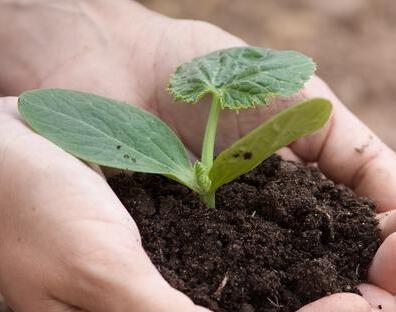 測(cè)土配方施肥儀 測(cè)土配方施肥儀