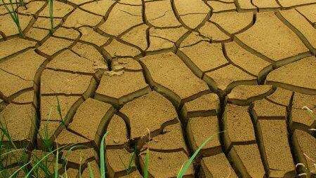 土壤酸堿度檢測儀 土壤酸堿度檢測儀