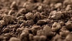 肥料養(yǎng)分檢測儀是如何實現(xiàn)“精準(zhǔn)施肥”的？