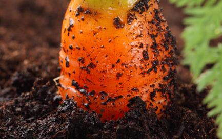 土壤養(yǎng)分分析儀器 土壤養(yǎng)分分析儀器