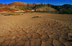 土壤肥料養(yǎng)分檢測儀指導科學施肥