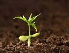 高智能土壤肥料養(yǎng)分速測(cè)儀有什么作用？