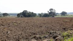 土壤養(yǎng)分檢測儀節(jié)約種植成本