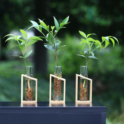 葉面積儀 葉面積儀