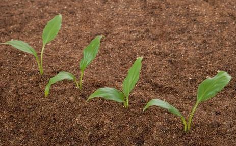 土壤水分測定儀 土壤水分測定儀