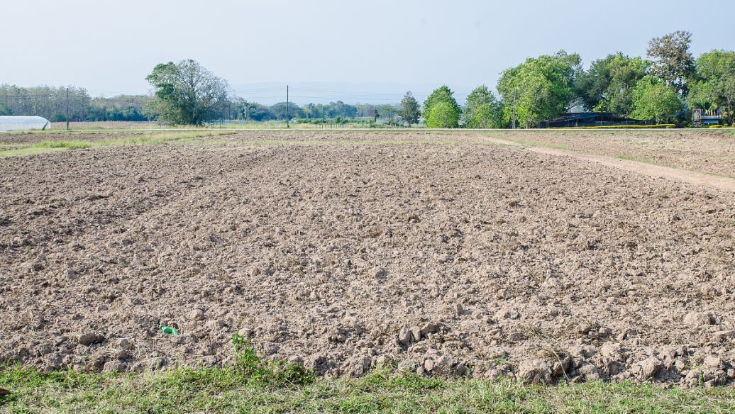 土壤肥料養(yǎng)分檢測儀 土壤肥料養(yǎng)分檢測儀