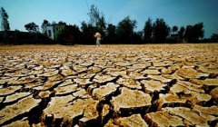 為什么要進(jìn)行測土配方施肥?