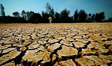 測(cè)土配方施肥儀 測(cè)土配方施肥儀