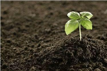 測(cè)土配方施肥儀