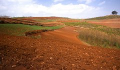 土壤肥料養(yǎng)分檢測儀有什么使用的優(yōu)勢？