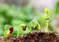 土壤肥力檢測儀有什么作用？