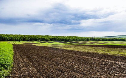 高智能土壤養(yǎng)分檢測(cè)儀 高智能土壤養(yǎng)分檢測(cè)儀
