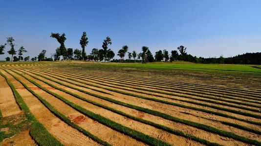 土壤養(yǎng)分檢測儀 土壤養(yǎng)分檢測儀