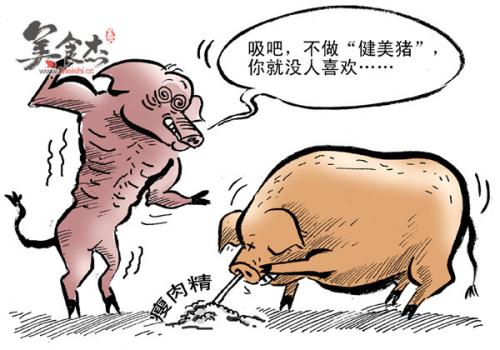 瘦肉精檢測儀 瘦肉精檢測儀