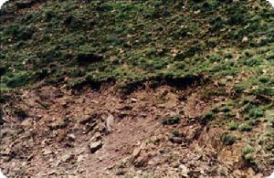 土壤養(yǎng)分檢測(cè)儀 土壤養(yǎng)分檢測(cè)儀