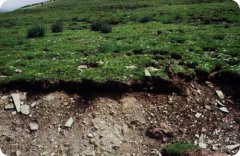 土壤養(yǎng)分檢測儀對(duì)我們生活當(dāng)中的應(yīng)用