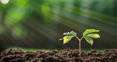 土壤養(yǎng)分檢測儀 土壤養(yǎng)分檢測儀