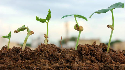 土壤養(yǎng)分檢測儀的優(yōu)勢(shì)在哪里？