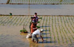 云南推進土壤污染防治，重金屬污染物排放量下