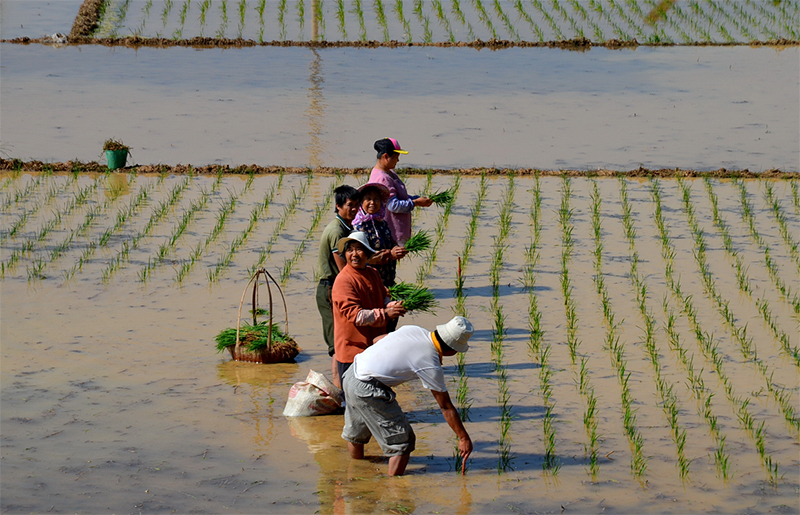 1577244445189833.jpg 1577244445189833.jpg