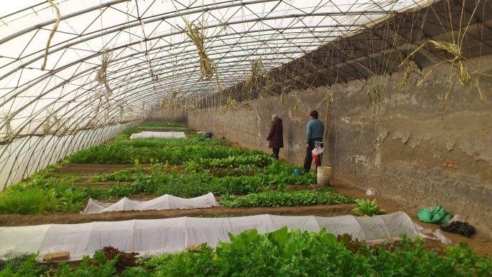 土壤肥料養(yǎng)分檢測(cè)儀 土壤肥料養(yǎng)分檢測(cè)儀