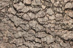 土壤重金屬污染日益嚴(yán)重，如何改善這一狀況