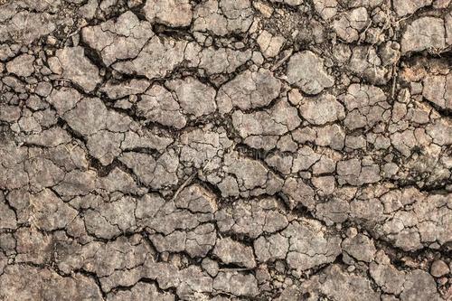 土壤重金屬污染日益嚴重，如何改善這一狀況