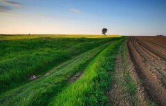 土壤污染防治工作如何開展？