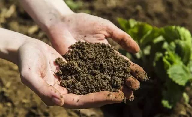 土壤養(yǎng)分檢測(cè)儀 土壤養(yǎng)分檢測(cè)儀