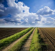 家里田地高產(chǎn)，土壤養(yǎng)分檢測(cè)儀教你辨別土壤好
