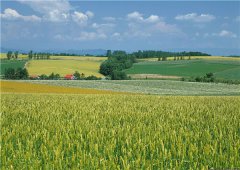 土壤水分對(duì)玉米種植有什么影響？