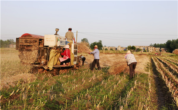 土壤養(yǎng)分速測儀