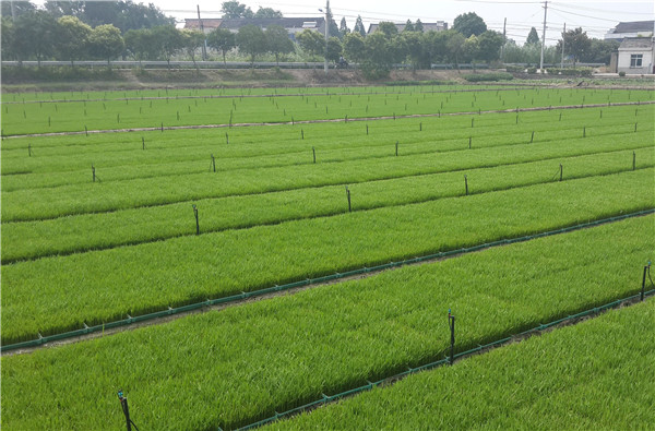 土壤養(yǎng)分速測儀 土壤養(yǎng)分速測儀