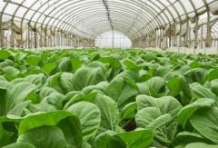 農(nóng)民科學(xué)施肥好幫手——測(cè)土配方施肥儀