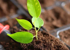 肥料養(yǎng)分測(cè)試儀避免施肥不均衡