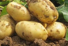 為何山東云唐測(cè)土配方施肥儀值得購(gòu)買？